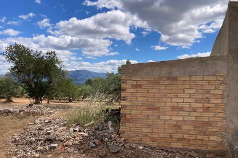 Landejendom i El Perello, Tarragona, El Perello - € 83.000 | Ref: Finca Gran Inti - foto 30